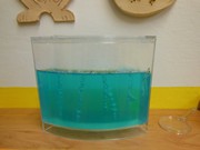 Pokusy a pozorování